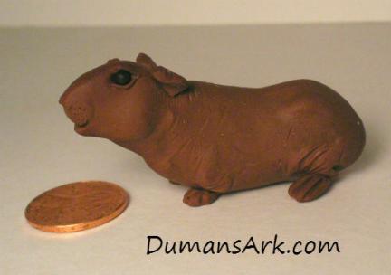 DumansArk Skinny Guinea Pig - side view