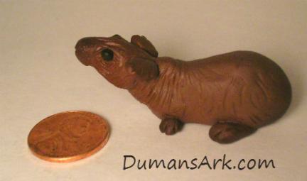 DumansArk Skinny Guinea Pig RL - side view
